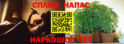 мяу мяу мука Кингисепп