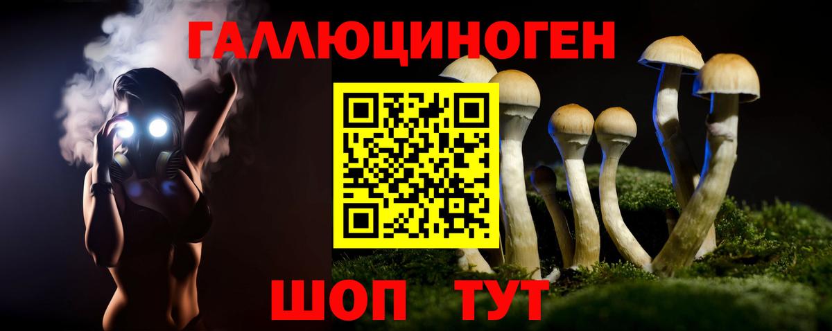 Псилоцибиновые грибы Psilocybe Кувандык